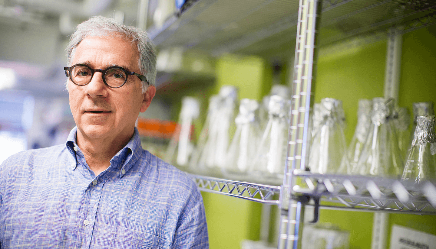 Doug Melton in the lab, in front of a rack of flasks