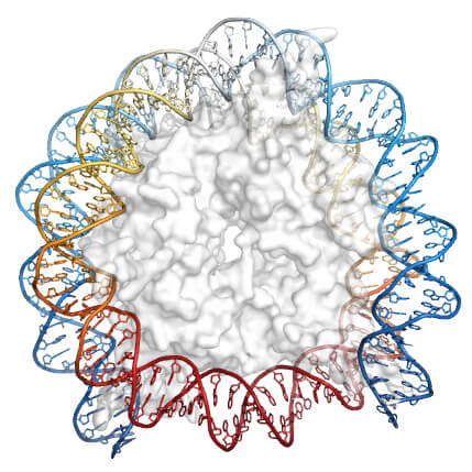 Illustration of gene networks