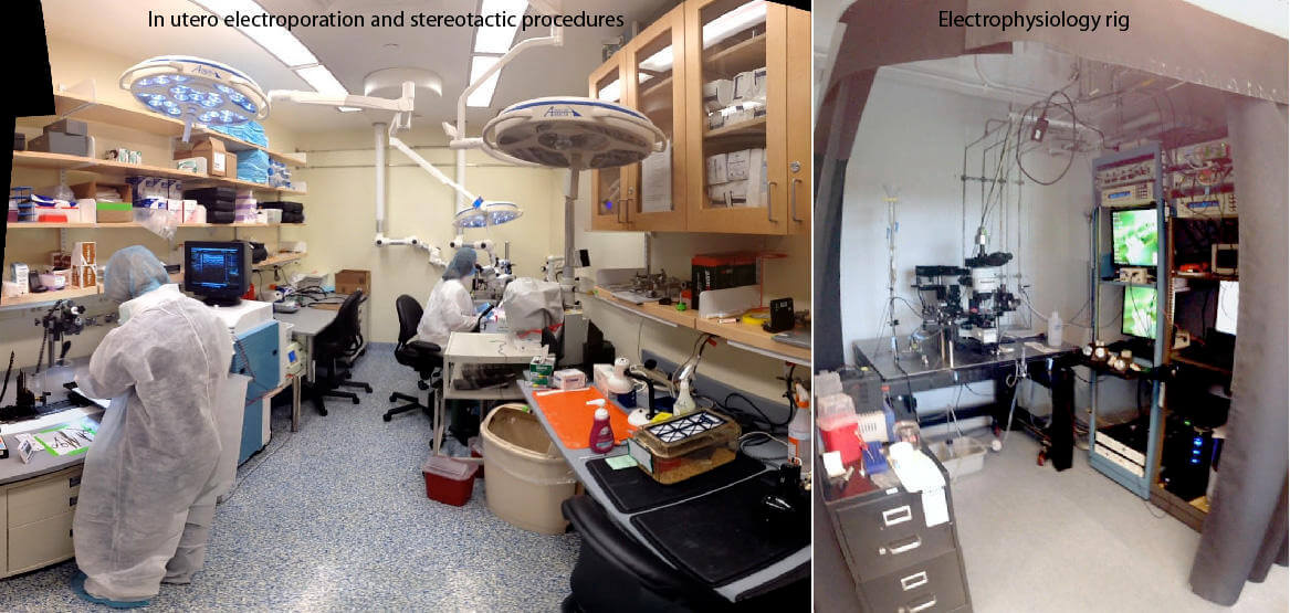 Photo of people working in the electroporation and stereotactic procedure room