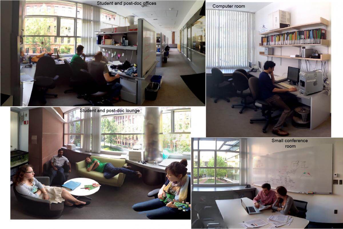 Montage of four photos: people at desks, lounging, and interacting in various ways