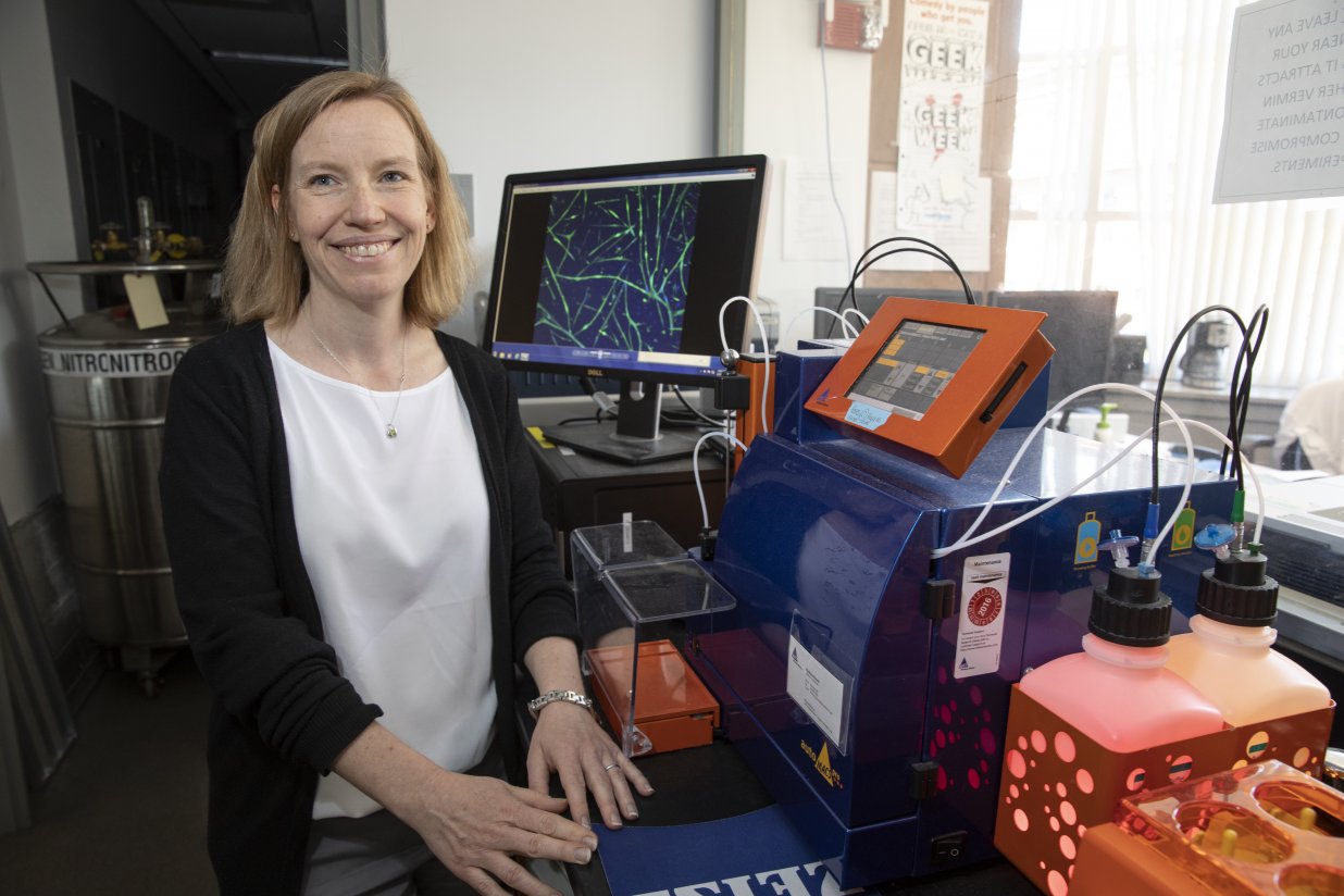 Amy Wagers in her lab