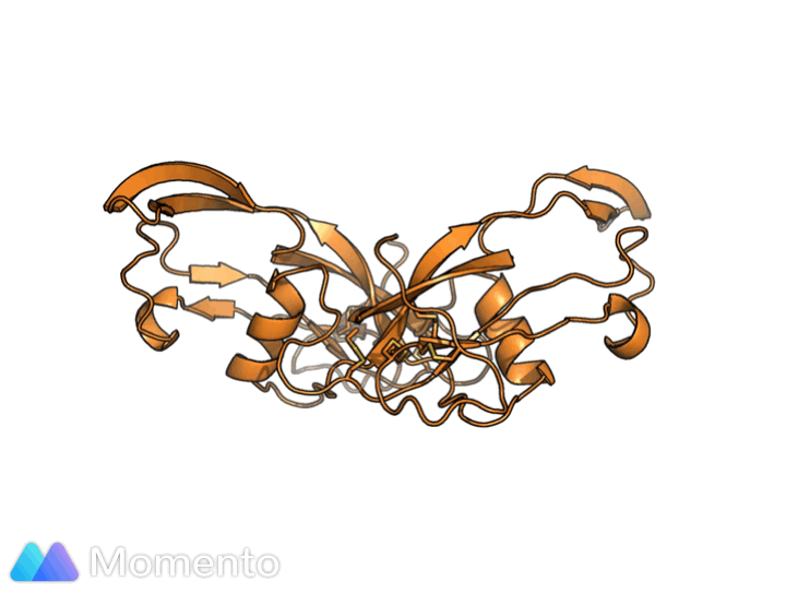 Animation of a protein structure