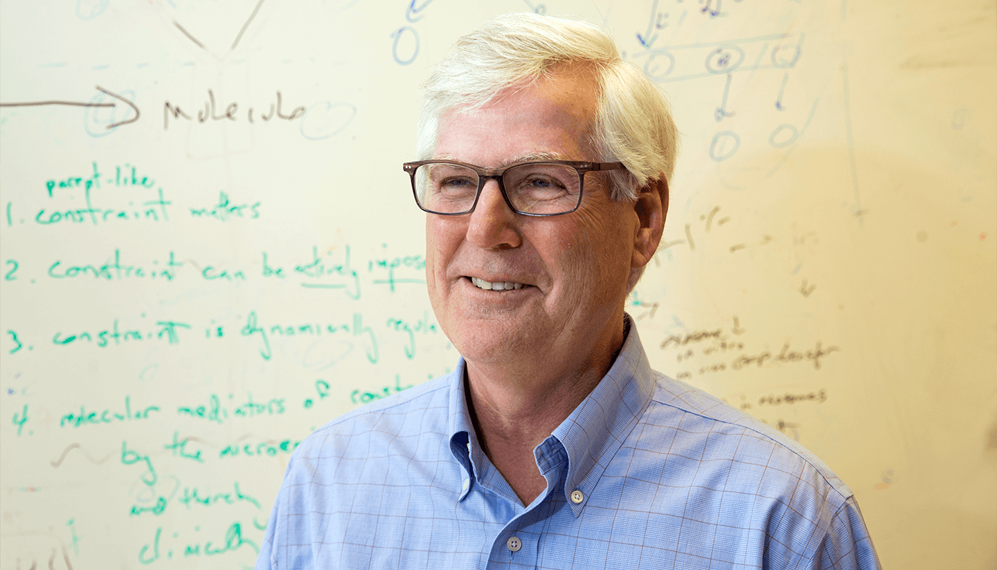 David Scadden in front of a whiteboard, looking to his right