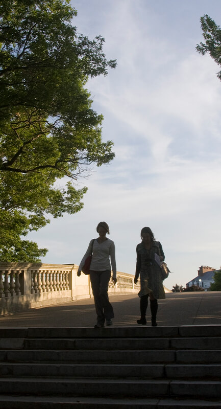 People walking on the Weeks Bridge in spring