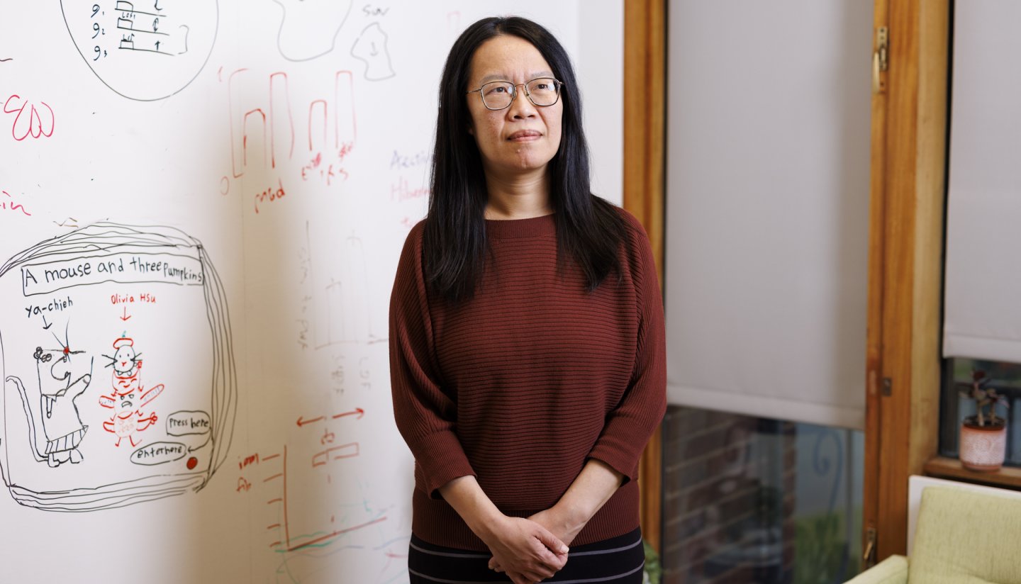 Ya-Chieh Hsu, Professor of Stem Cell and Regenerative Biology in her office