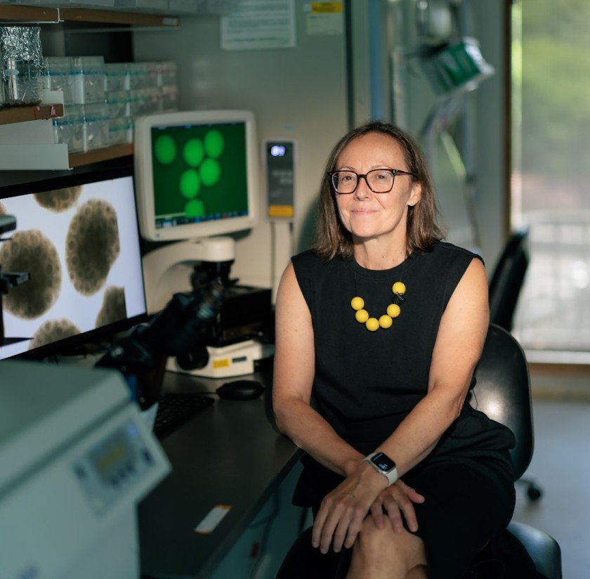 Woman sits at a lab bench with two computer monitors showing cell cultures next to her